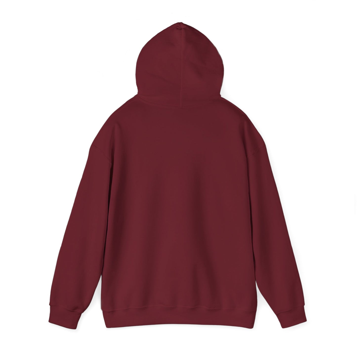 Hooded Sweatshirt - Native Tribe Weather-