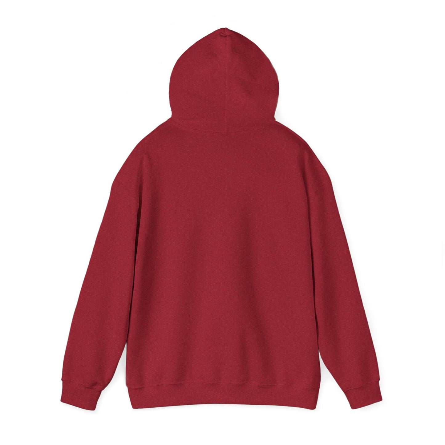 Hooded Sweatshirt - Native Tribe Weather-